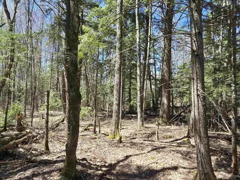 tbd Murphy, Covington, MI 49919 photo 30