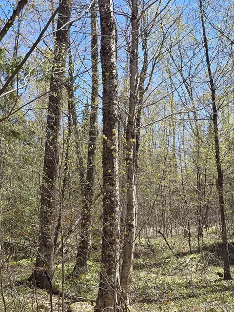 tbd Murphy, Covington, MI 49919 photo 52
