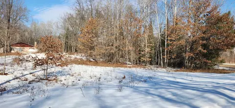 0 45 Acres Indian Lk, Gladwin, MI 48624 photo 2