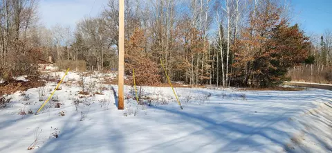 0 45 Acres Indian Lk, Gladwin, MI 48624 photo 7