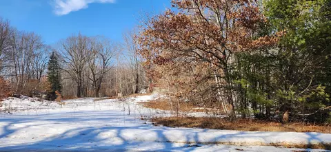 0 45 Acres Indian Lk, Gladwin, MI 48624 photo 4