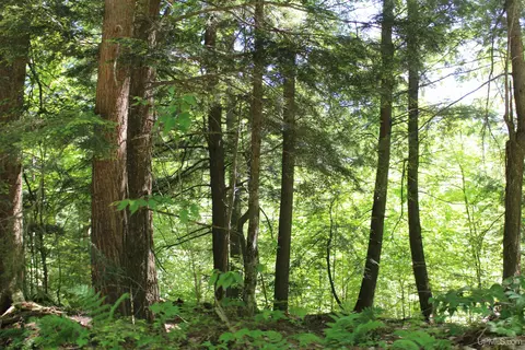 Off St Martin Hill, Munising, MI 49862 photo 33