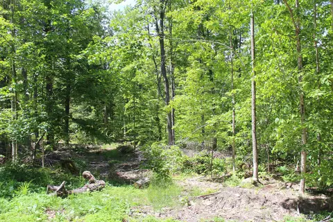 Off St Martin Hill, Munising, MI 49862 photo 28