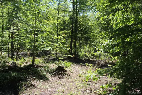 Off St Martin Hill, Munising, MI 49862 photo 32