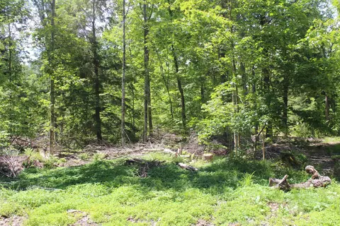 Off St Martin Hill, Munising, MI 49862 photo 27