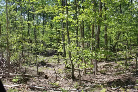 Off St Martin Hill, Munising, MI 49862 photo 39