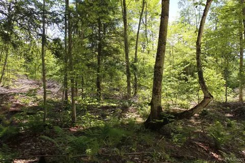 Off St Martin Hill, Munising, MI 49862 photo 38