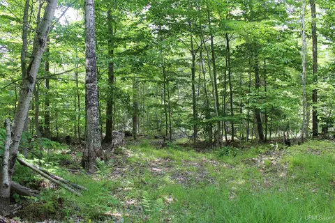 Off St Martin Hill, Munising, MI 49862 photo 41