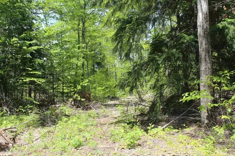 Off St Martin Hill, Munising, MI 49862 photo 35