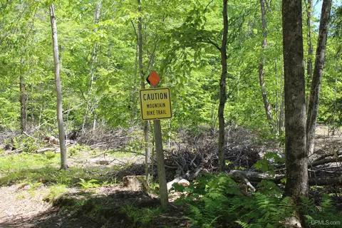 Off St Martin Hill, Munising, MI 49862 photo 37