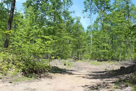 Off St Martin Hill, Munising, MI 49862 photo 36