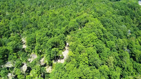 Off St Martin Hill, Munising, MI 49862 photo 24