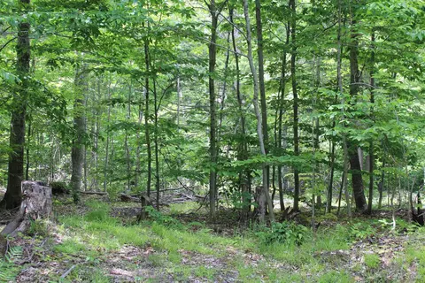 Off St Martin Hill, Munising, MI 49862 photo 42