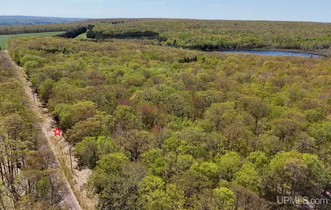 tbd S D S Tear Lk, Houghton, MI 49931