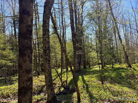 tbd Townline, Skandia, MI 49855