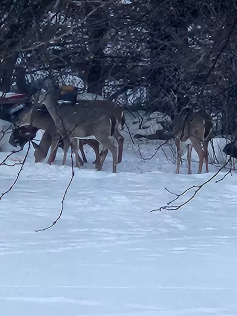 Other - 4257 S State, Davison, MI 48423 photo 14 of 16