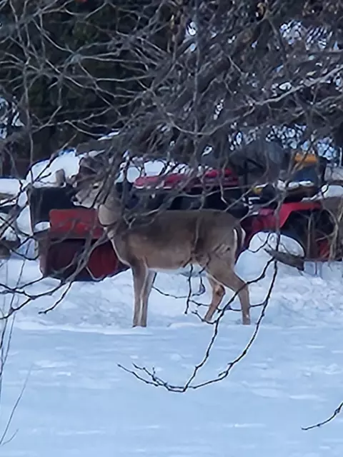 Other - 4257 S State, Davison, MI 48423 photo 12 of 16