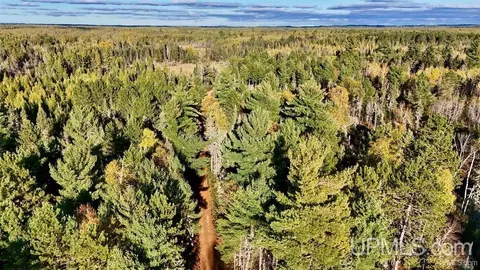 tbd 34 Willett, Republic, MI 49879