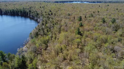 Off Adams Trail, Shingleton, MI 49884 photo 20