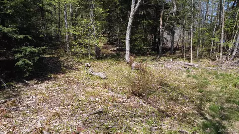 Off Adams Trail, Shingleton, MI 49884 photo 38