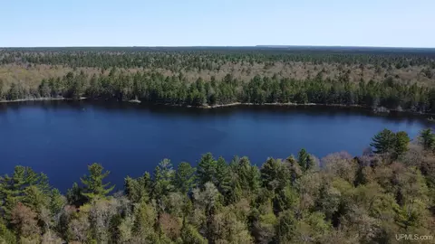 Off Adams Trail, Shingleton, MI 49884 photo 28