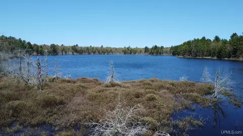 Off Adams Trail, Shingleton, MI 49884 photo 41