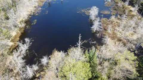 Off Adams Trail, Shingleton, MI 49884 photo 16