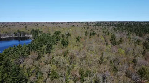 Off Adams Trail, Shingleton, MI 49884 photo 36