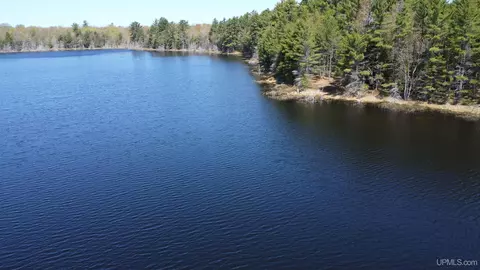 Off Adams Trail, Shingleton, MI 49884 photo 4