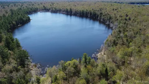 Off Adams Trail, Shingleton, MI 49884 photo 18