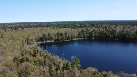 Off Adams Trail, Shingleton, MI 49884 photo 27