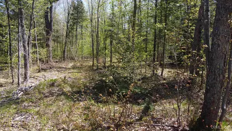 Off Adams Trail, Shingleton, MI 49884 photo 37