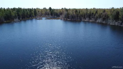 Off Adams Trail, Shingleton, MI 49884 photo 14