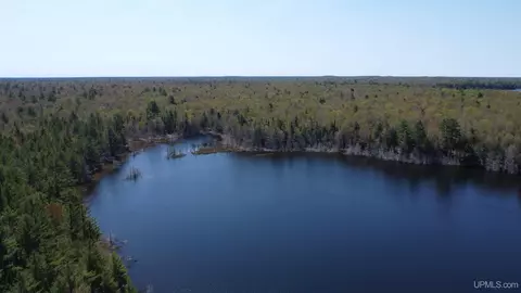 Off Adams Trail, Shingleton, MI 49884 photo 19