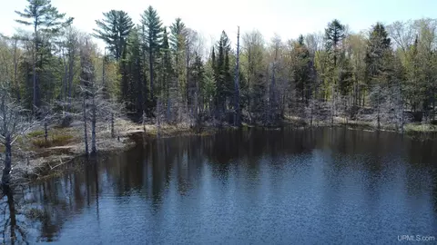 Off Adams Trail, Shingleton, MI 49884 photo 15