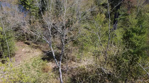 Off Adams Trail, Shingleton, MI 49884 photo 46