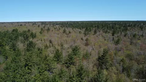 Off Adams Trail, Shingleton, MI 49884 photo 9
