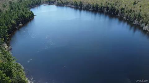 Off Adams Trail, Shingleton, MI 49884 photo 17