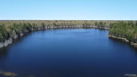 Off Adams Trail, Shingleton, MI 49884 photo 3