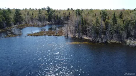 Off Adams Trail, Shingleton, MI 49884 photo 45