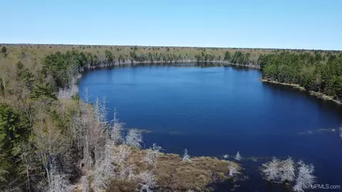 Off Adams Trail, Shingleton, MI 49884 photo 2