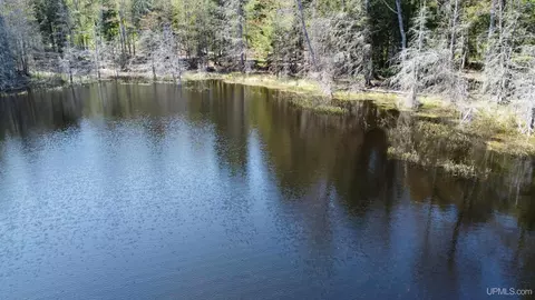 Off Adams Trail, Shingleton, MI 49884 photo 12