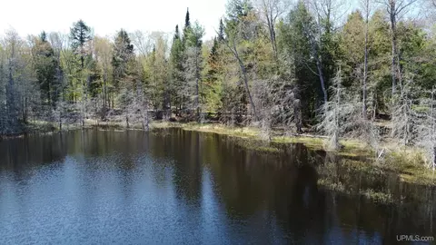Off Adams Trail, Shingleton, MI 49884 photo 13
