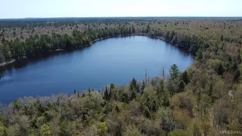 Off Adams Trail, Shingleton, MI 49884 photo 24
