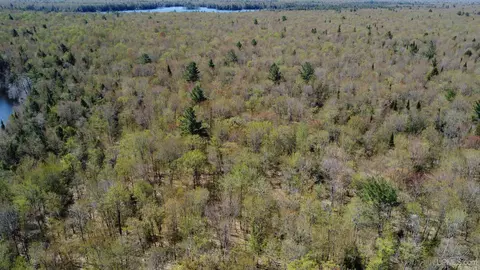 Off Adams Trail, Shingleton, MI 49884 photo 35