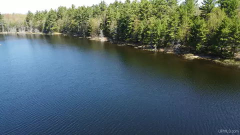 Off Adams Trail, Shingleton, MI 49884 photo 5