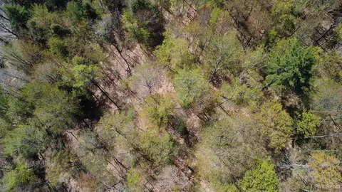 Off Adams Trail, Shingleton, MI 49884 photo 23