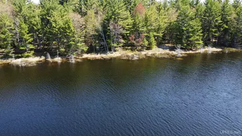 Off Adams Trail, Shingleton, MI 49884 photo 6