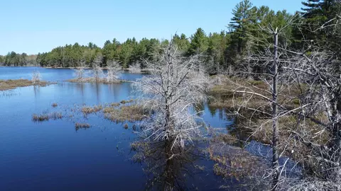 Off Adams Trail, Shingleton, MI 49884 photo 10