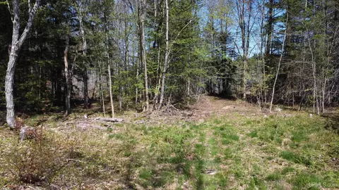 Off Adams Trail, Shingleton, MI 49884 photo 39